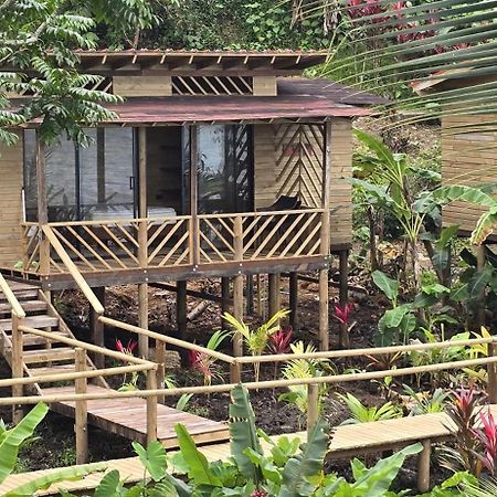 Pacific Nuqui Lodge Bagian luar foto