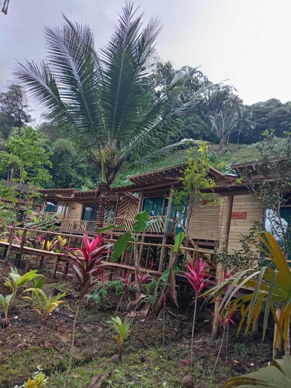 Pacific Nuqui Lodge Bagian luar foto